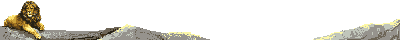 Gif animé lion caché